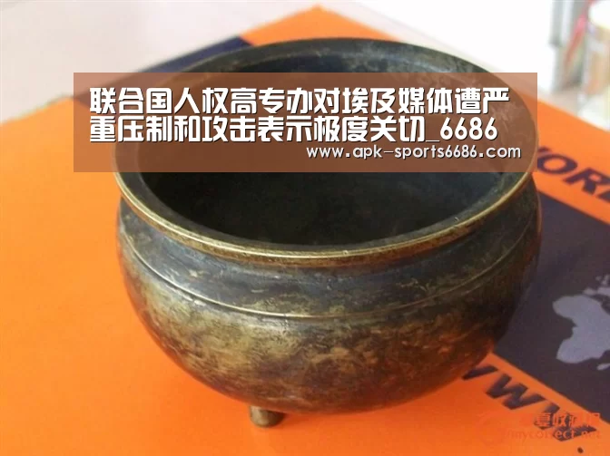 联合国人权高专办对埃及媒体遭严重压制和攻击表示极度关切_6686体育(图3) 6686体育